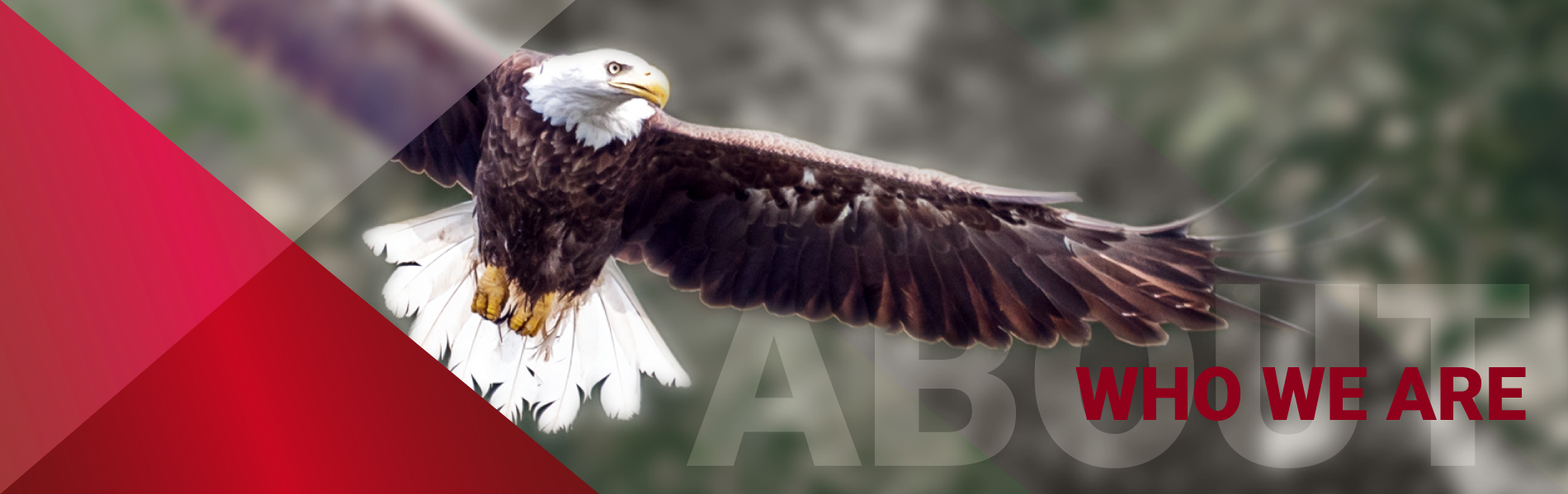 Reamerica Risk Advisors - WHO WE ARE