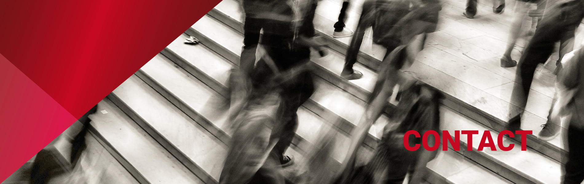 Reamerica Risk Advisors | Contact